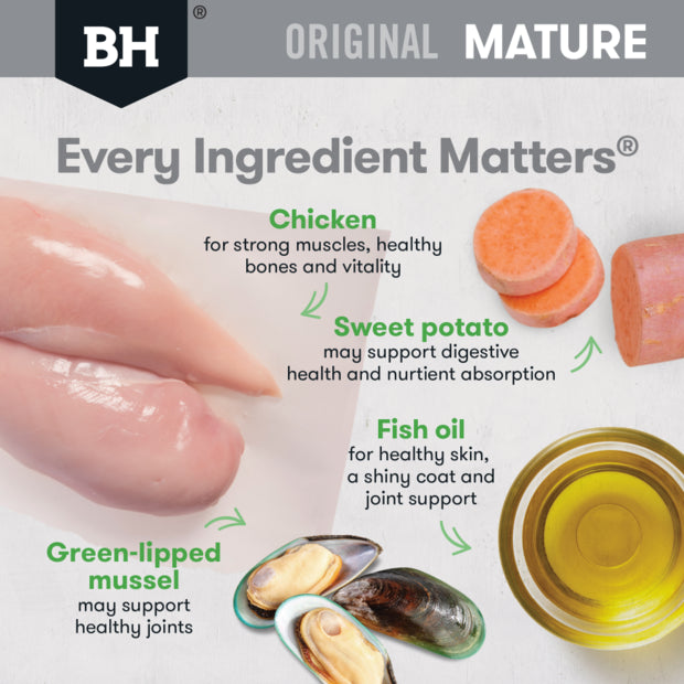 Original Mature Chicken And Rice Dry Food