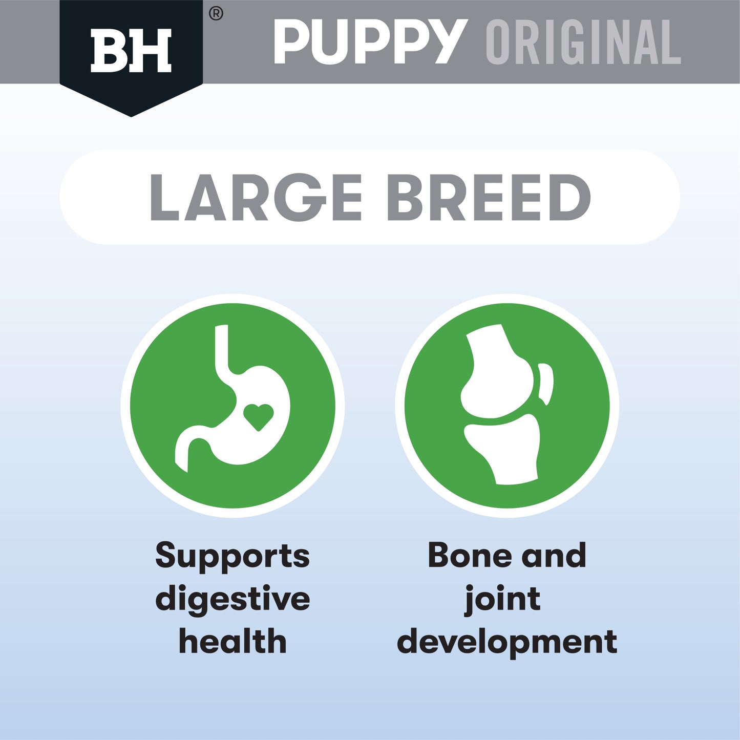 Chicken & Rice Dry Dog Food – Large Breed Puppy
