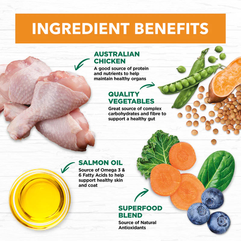 Grain Free Adult Chicken Dry Food