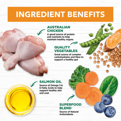 Grain Free Adult Chicken Dry Food