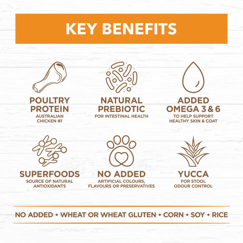 Grain Free Adult Chicken Dry Food