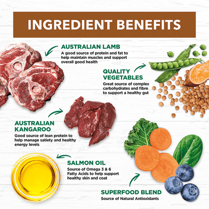 Grain Free Adult Dry Food Lamb And Kangaroo