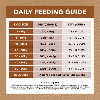 Grain Free Adult Dry Food Lamb And Kangaroo
