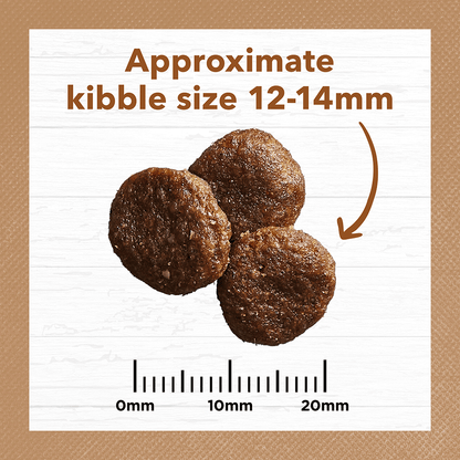 Grain Free Adult Dry Food Lamb And Kangaroo