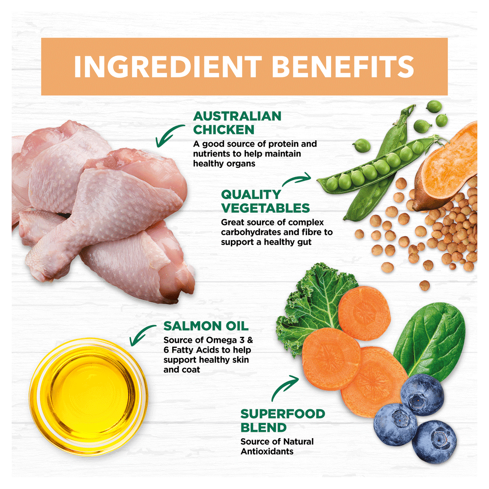 Grain Free Dry Puppy Food Chicken