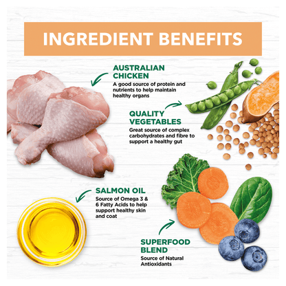Grain Free Dry Puppy Food Chicken