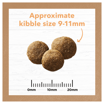 Grain Free Dry Puppy Food Chicken