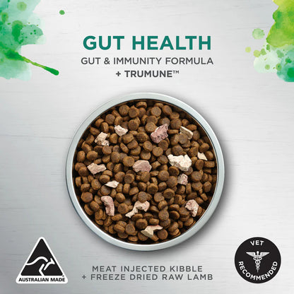 Raw Health Adult Gut Health Dry Food