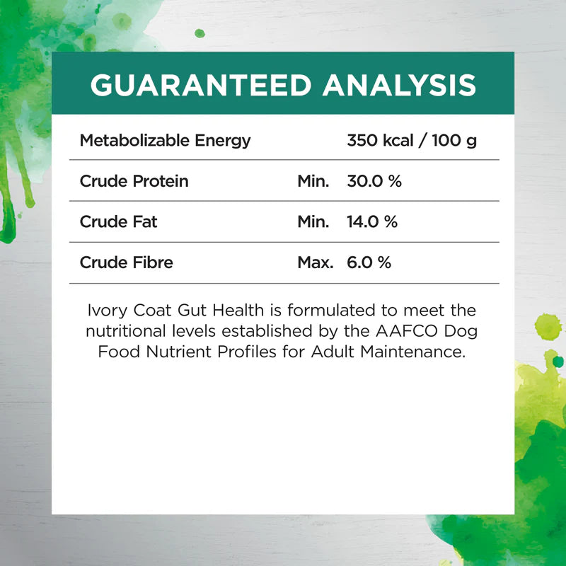 Raw Health Adult Gut Health Dry Food