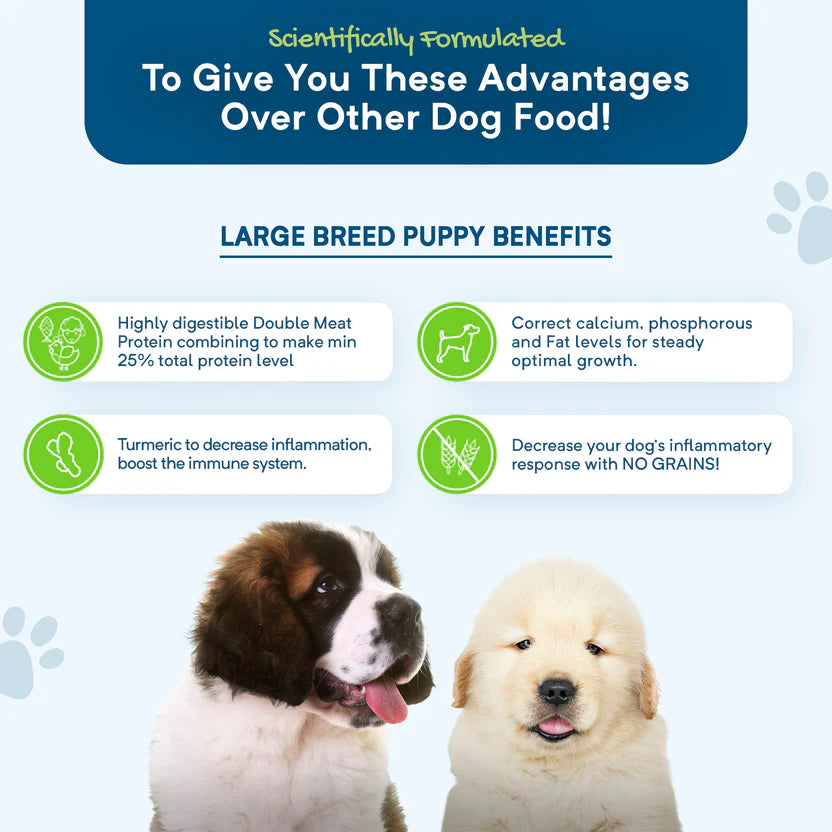 Grain Free Dry Dog Food – Large Breed Puppy
