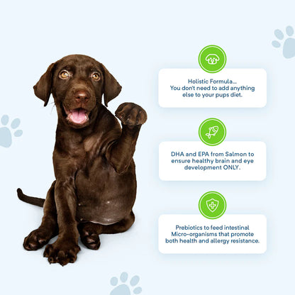 Grain Free Dry Dog Food – Large Breed Puppy