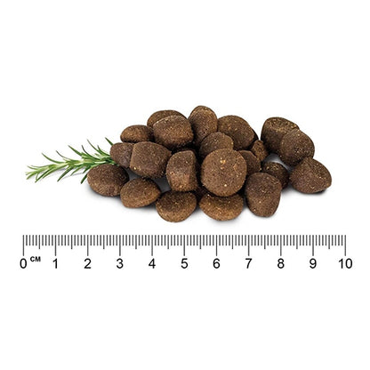 Grain Free Dry Dog Food – Large Breed Puppy