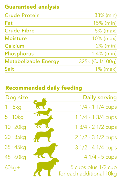 Chicken Grain Free Adult Dry Food