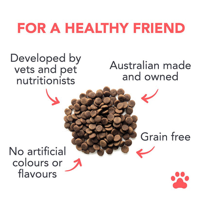 Ocean Fish with Sardines Grain Free Adult Dry Food