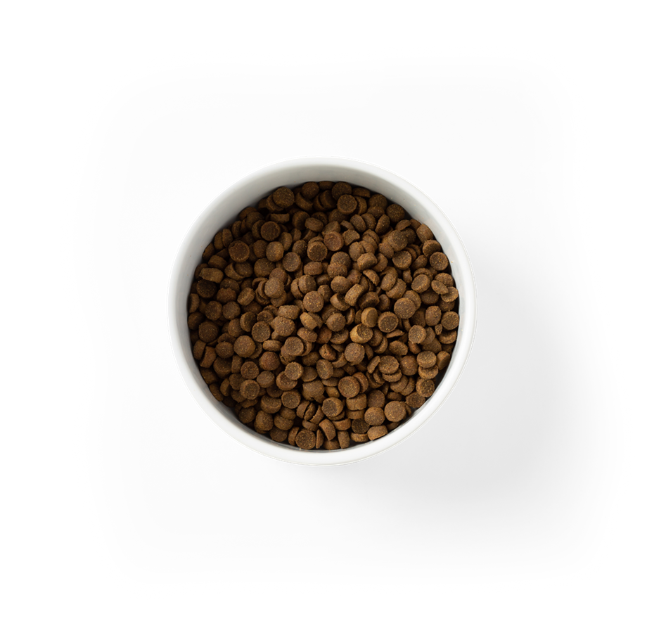 Essentials Chicken Puppy Dry Food