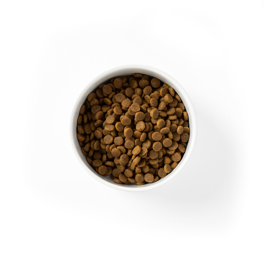 Grain Free Chicken Puppy Dry Food