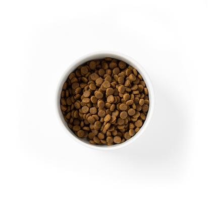 Grain Free Chicken Puppy Dry Food