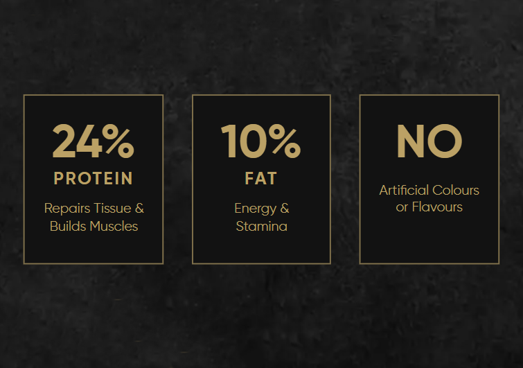 Gold Label Adult Dry Food Beef
