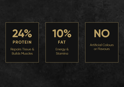 Gold Label Adult Dry Food Beef