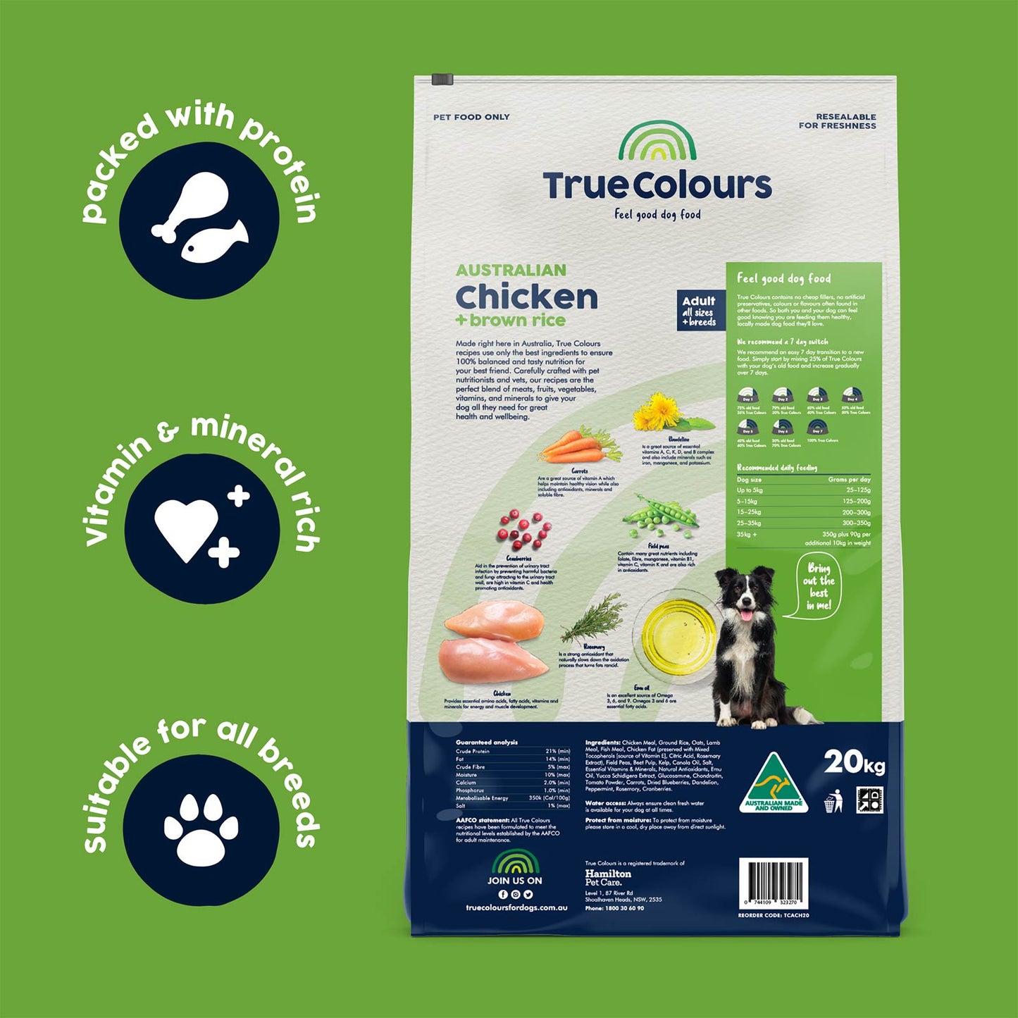 Chicken and Brown Rice Adult Dry Food