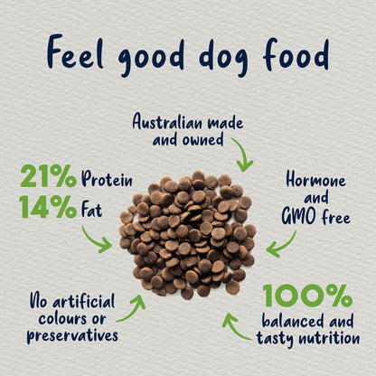 Chicken and Brown Rice Adult Dry Food