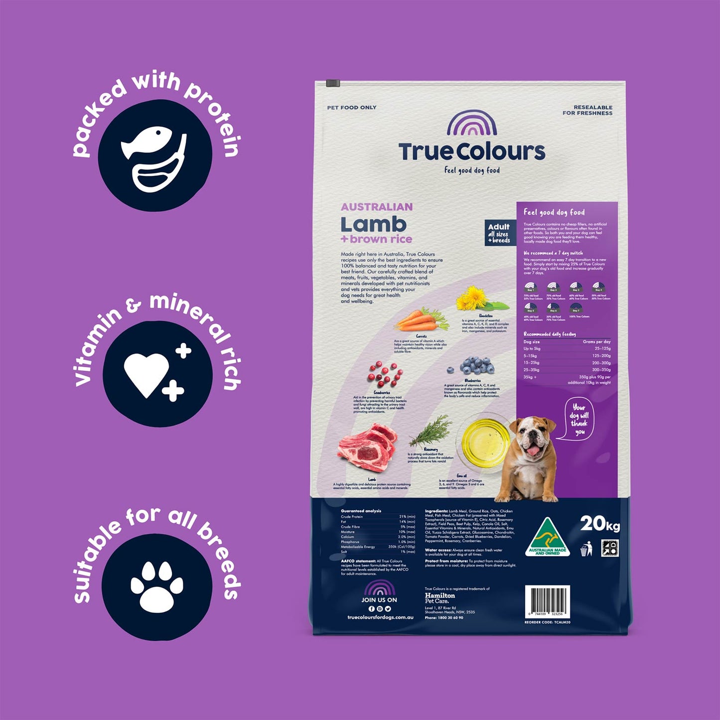 Lamb and Brown Rice Adult Dry Food