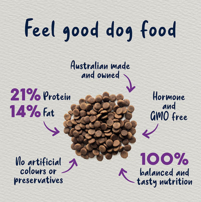 Lamb and Brown Rice Adult Dry Food